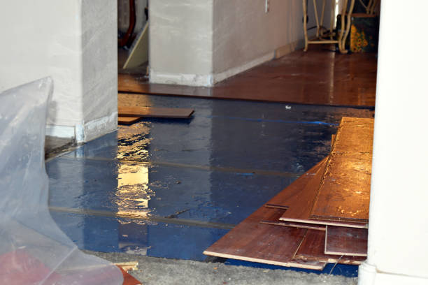 Professional Basement Water Removal technician working in Chelan, WA